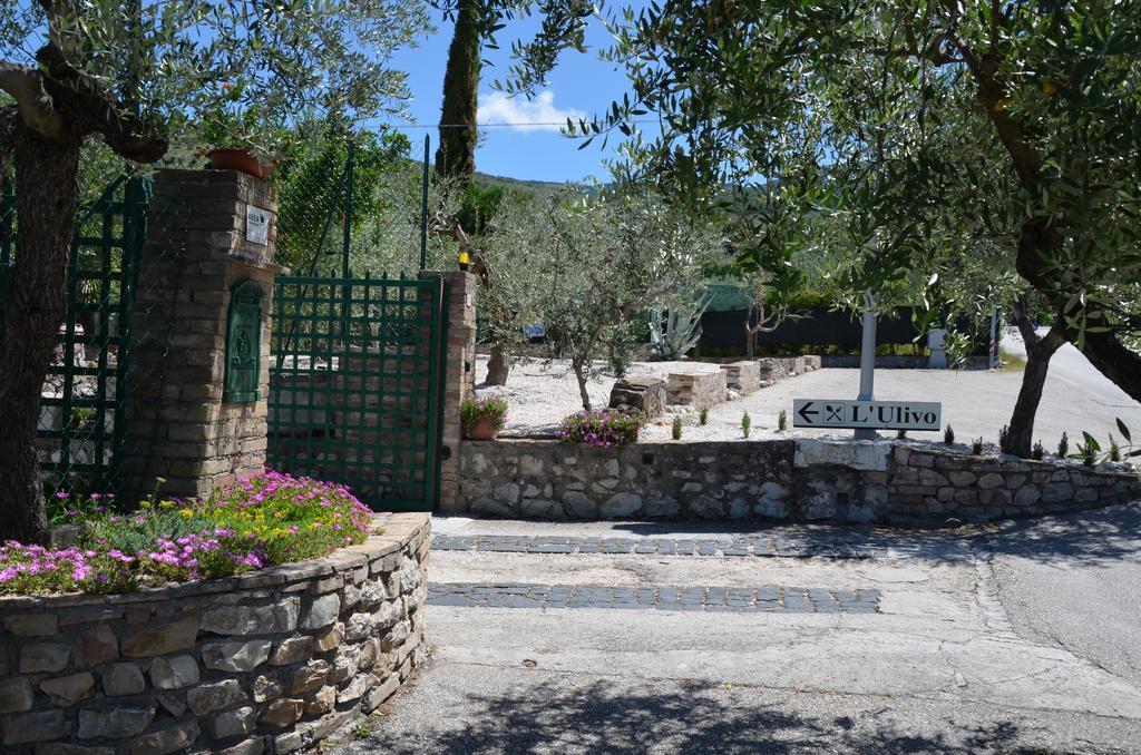 Hotel Il Borgo Dell'Ulivo Trevi Esterno foto